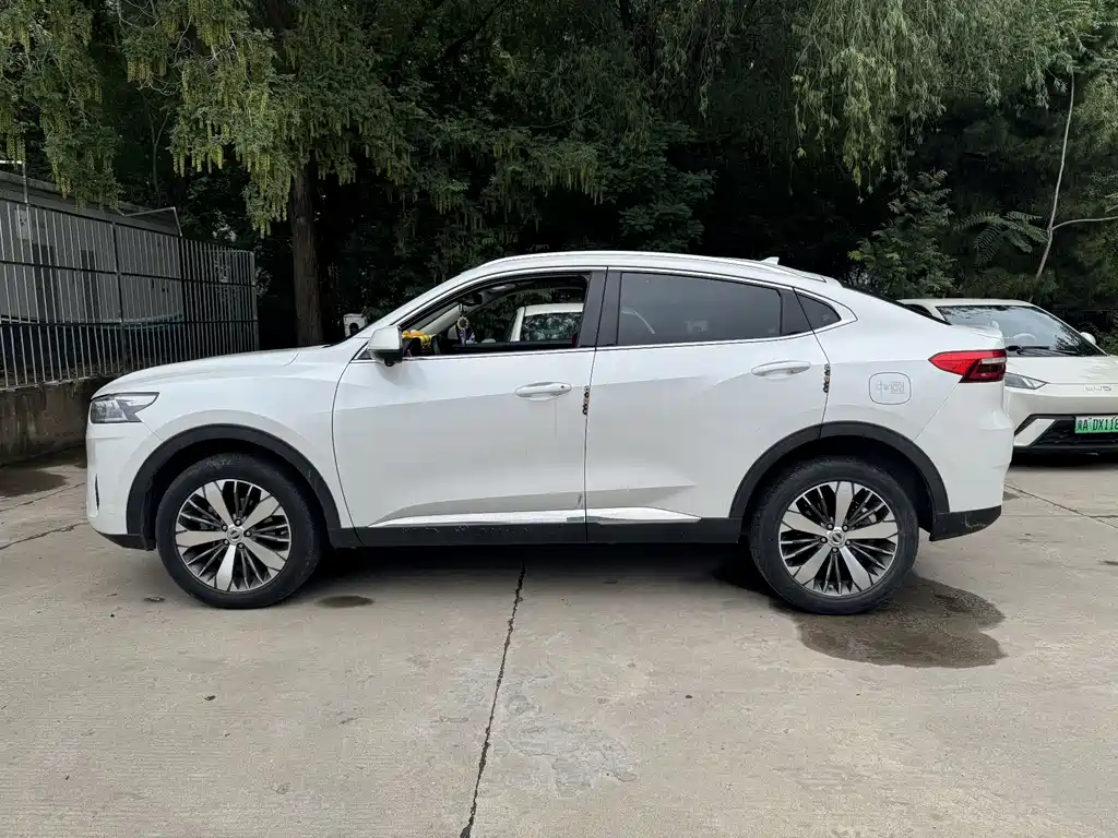 Haval F7x 2019 — фото 4