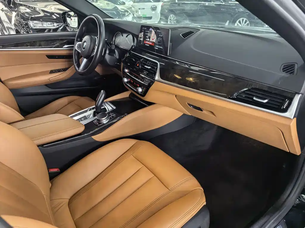 BMW 5 Series 2017 — фото 13