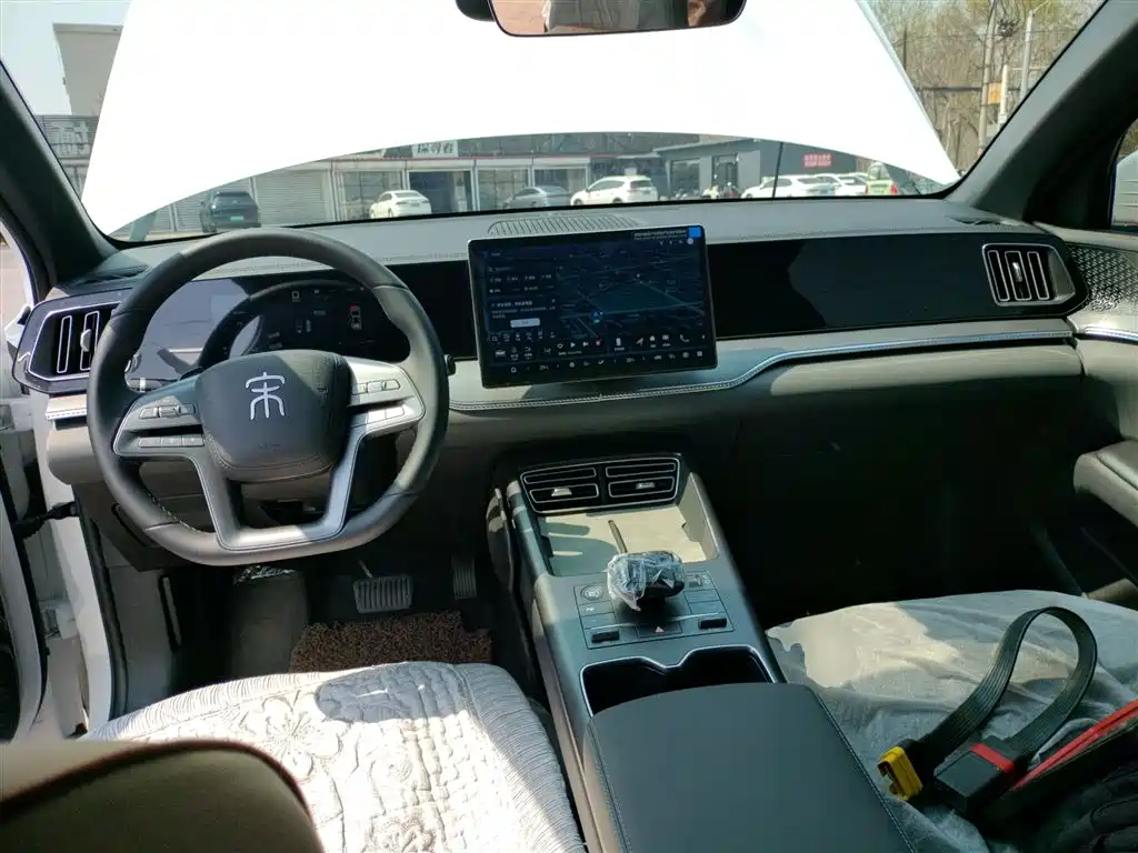 BYD Pro New Energy 2025 — фото 10