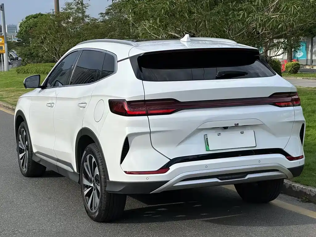 BYD PLUS New Energy 2023 — фото 5