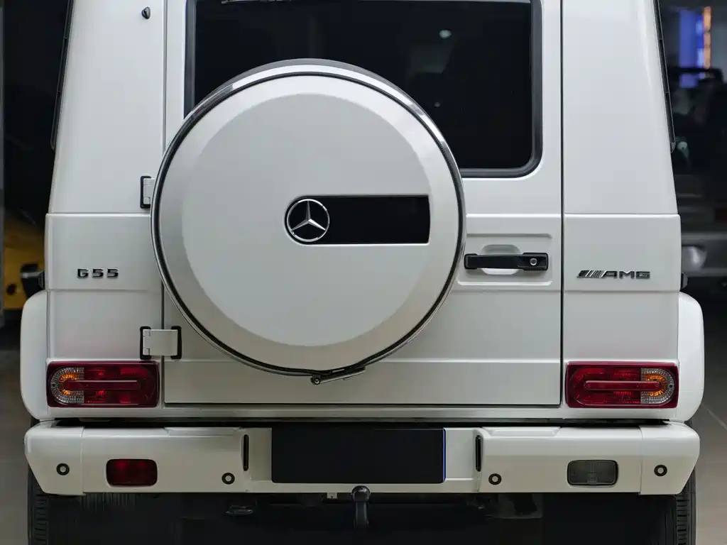 Mercedes-Benz G-Class AMG 2010 — фото 8