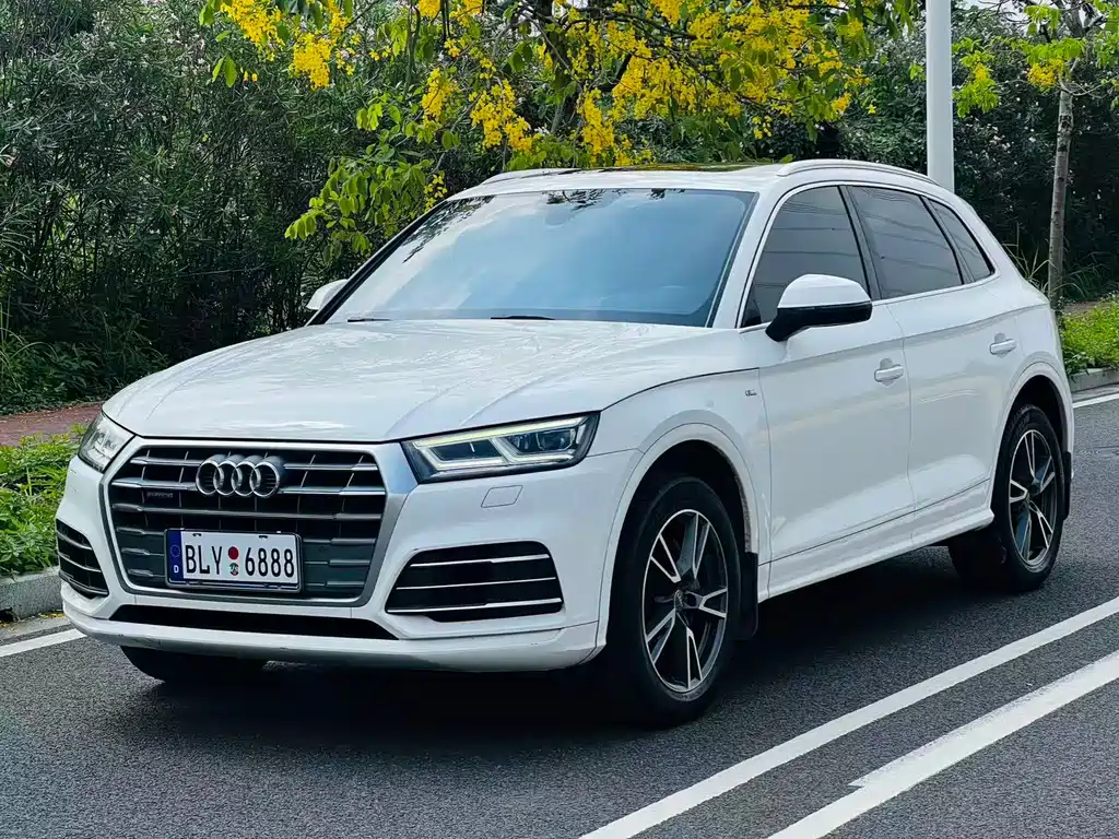 Audi Q5L 2019