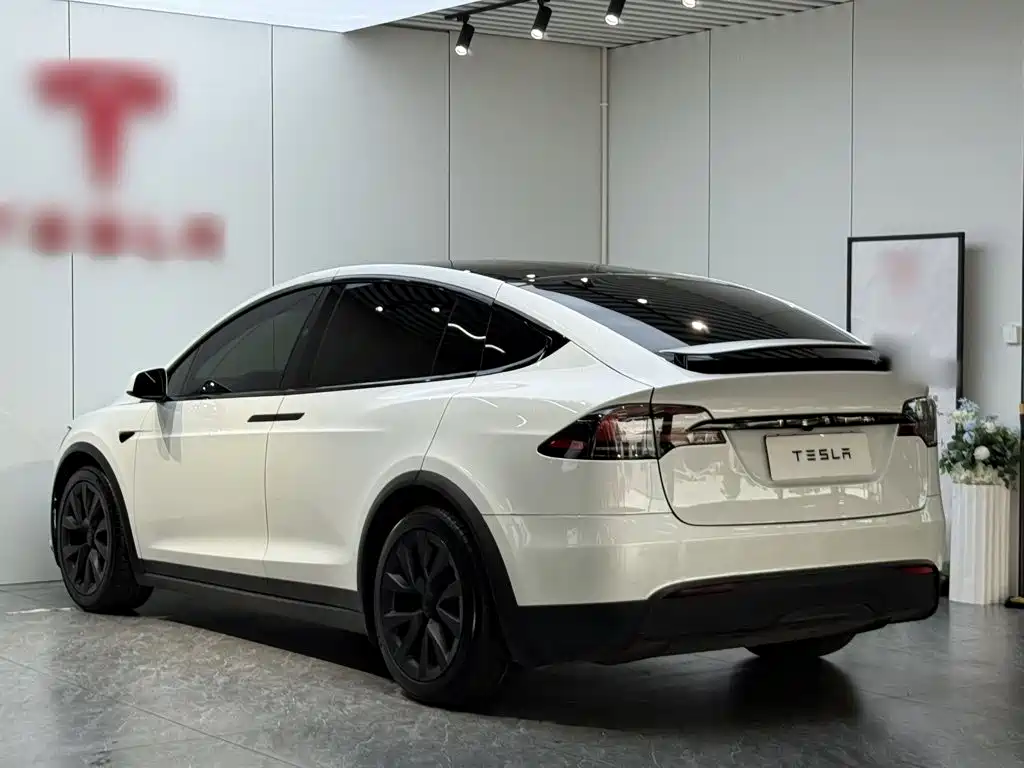 Tesla Model X 2023 — фото 5