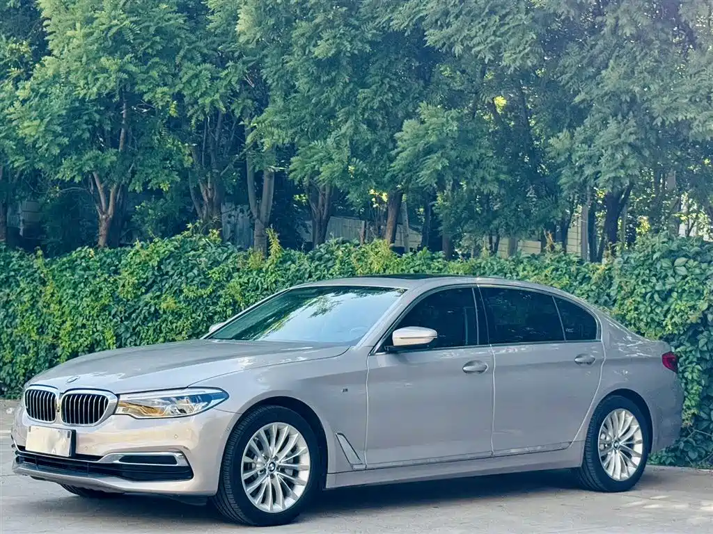 BMW 5 Series 2019