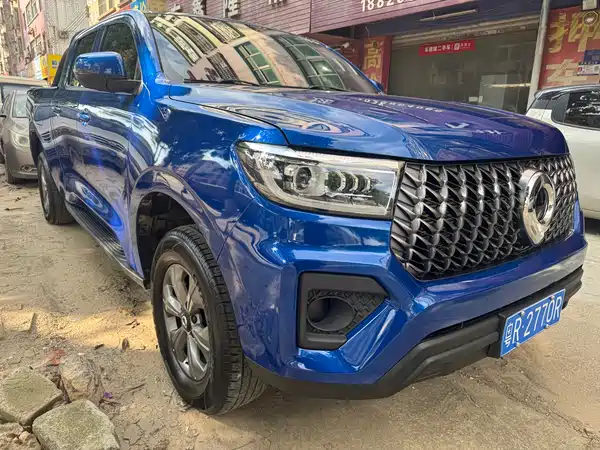 Great Wall Poer 2024