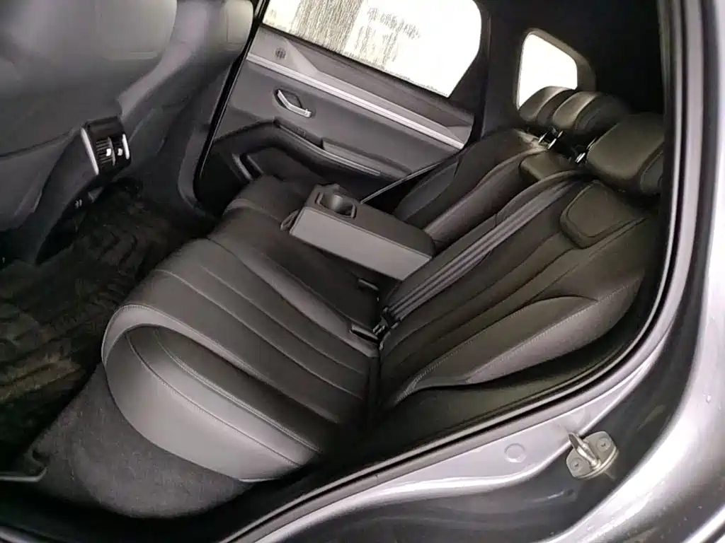 BYD Song Pro New Energy 2025 — фото 13