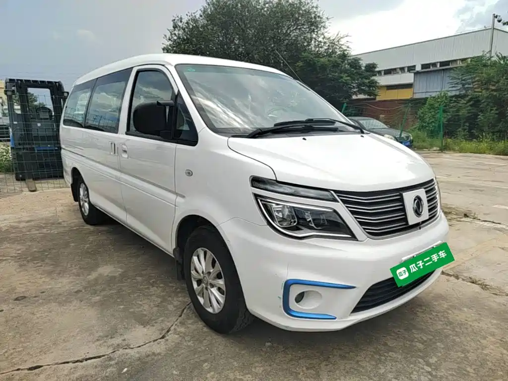 Dongfeng Lingzhi New Energy 2021