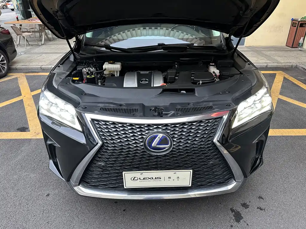 Lexus RX 2017 — фото 4