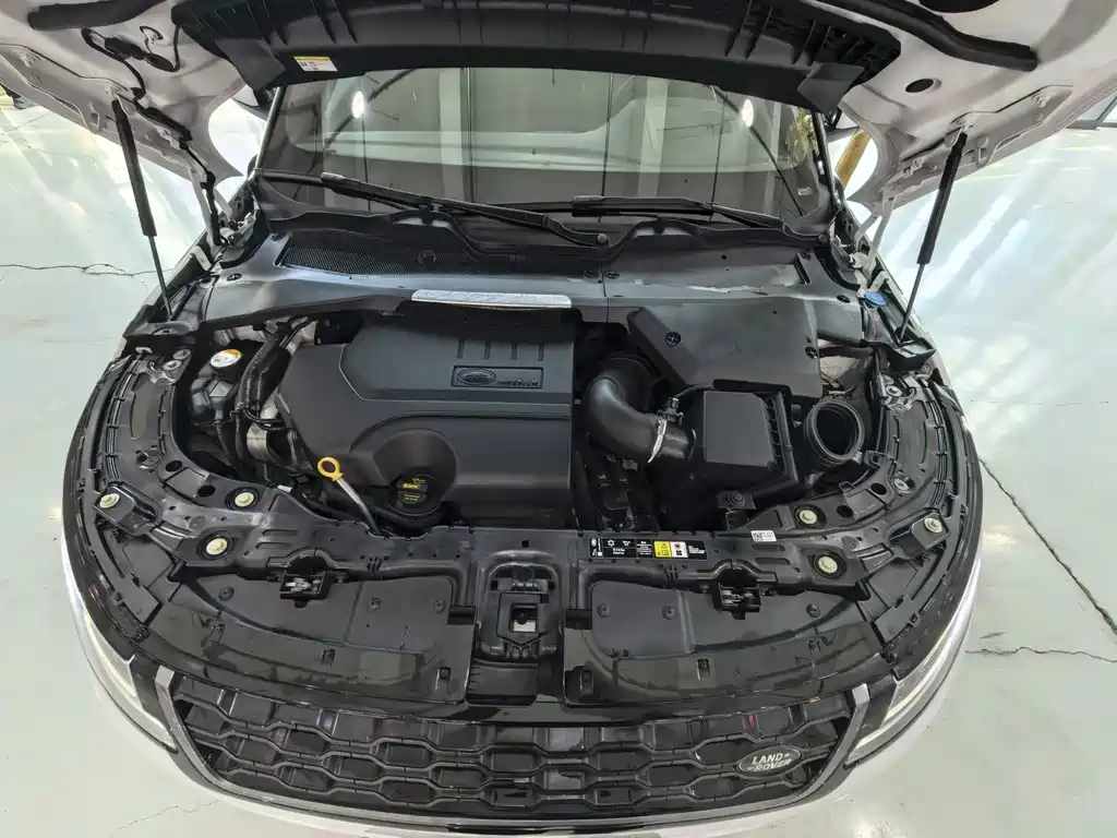 Land Rover Range Rover Evoque 2020 — фото 19