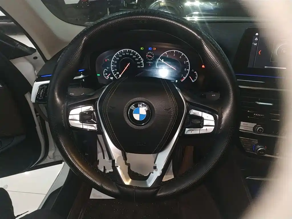 BMW 5 Series 2019 — фото 11
