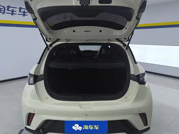 BYD Dolphin 2023