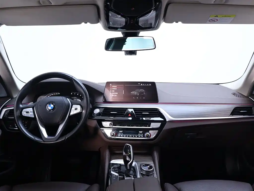 BMW 5 Series 2020 — фото 13