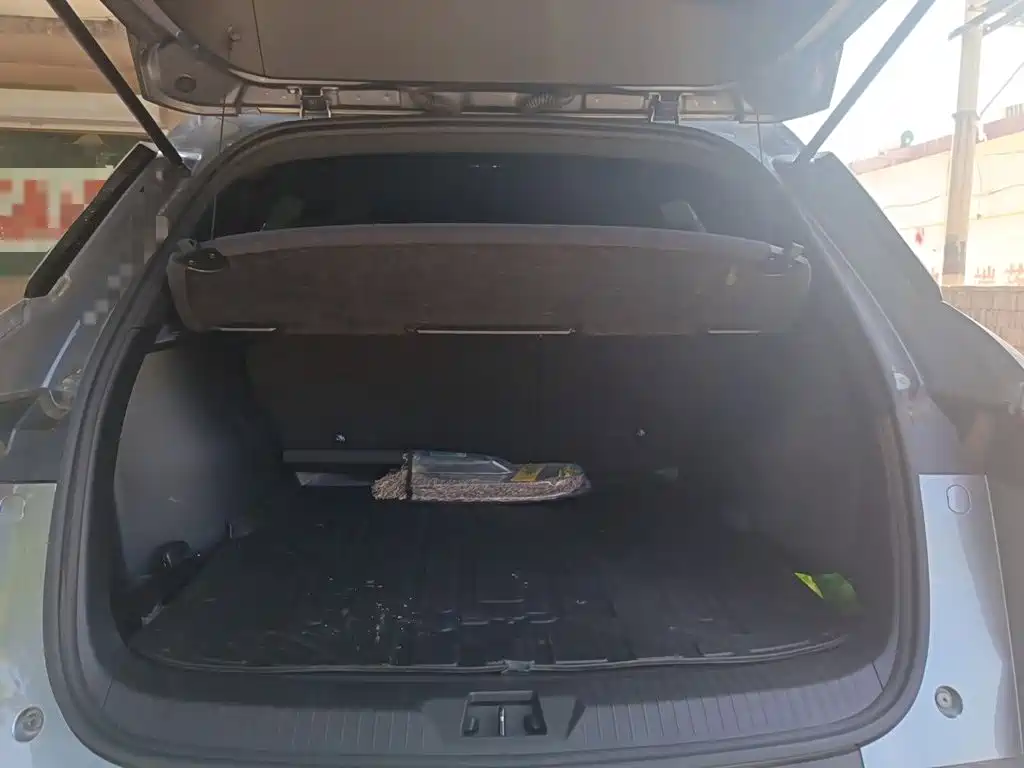 BYD Song Pro New Energy 2023 — фото 10