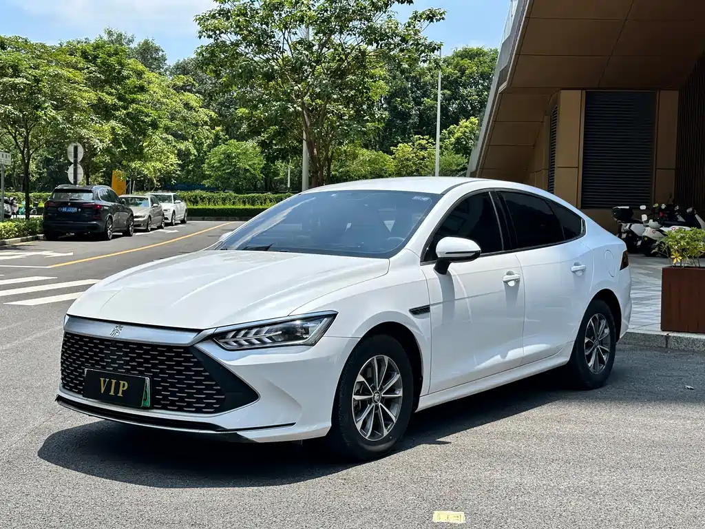 BYD Qin PLUS 2024 — фото 1