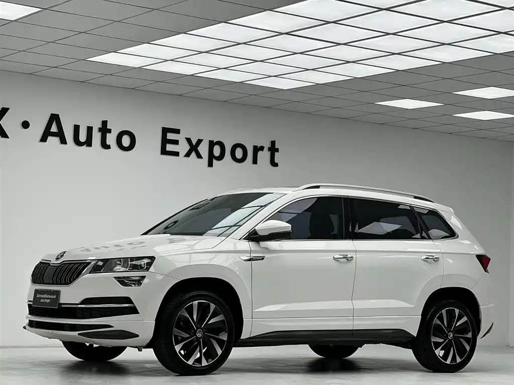 Skoda Karoq 2021 — фото 10