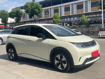BYD Dolphin 2025