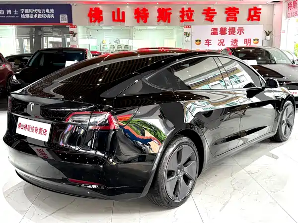 Tesla Model 3 2021