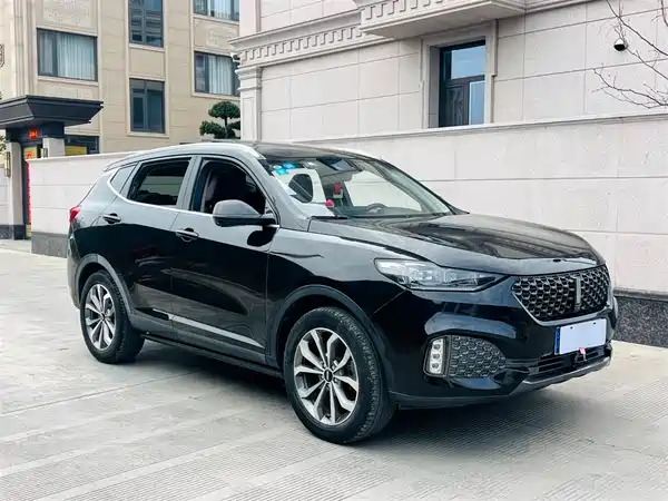 Wey VV6 2019
