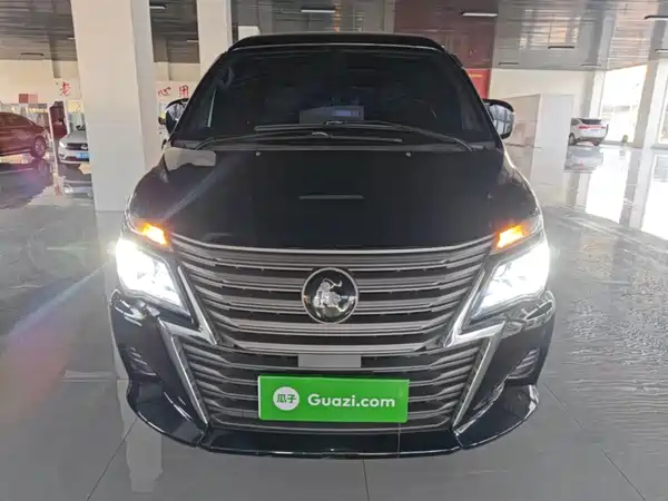Dongfeng Lingzhi 2023