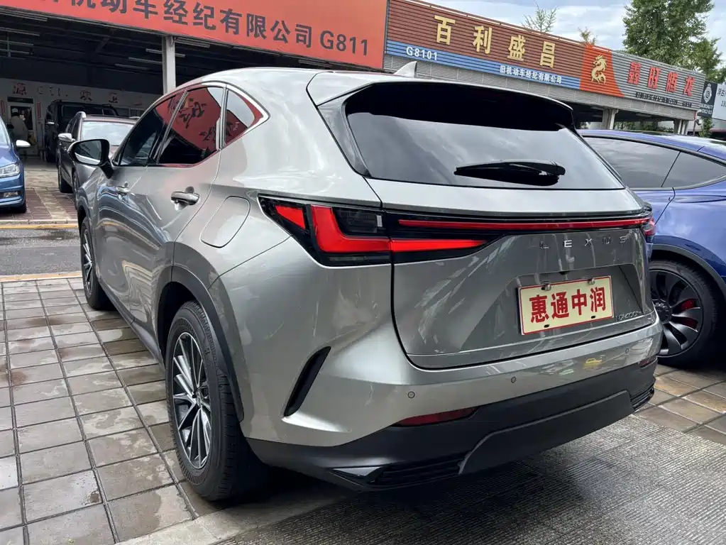 Lexus NX New Energy 2024 — фото 4