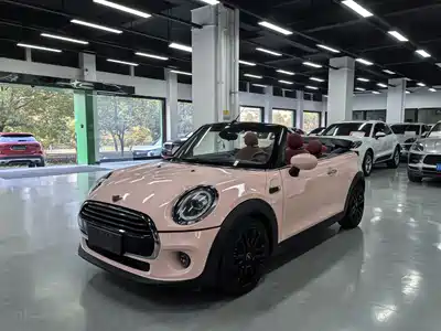 MINI MINI 2018