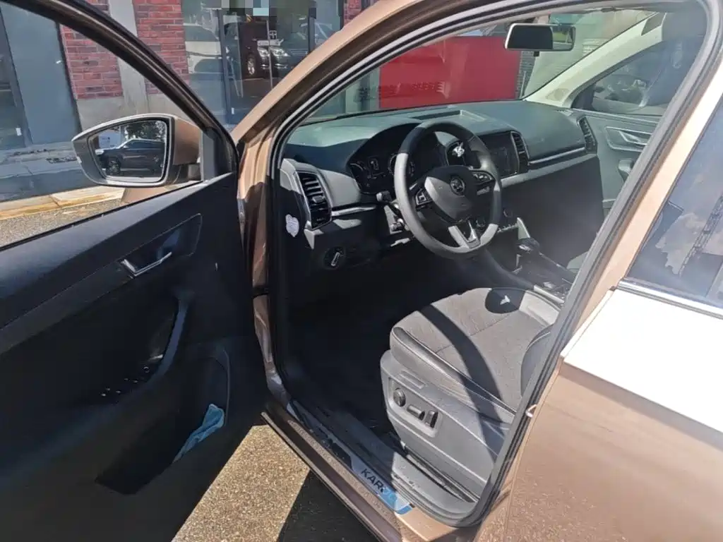 Skoda Karoq 2021 — фото 14