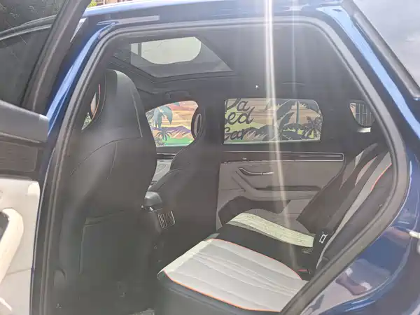 BYD Song PLUS New Energy 2022