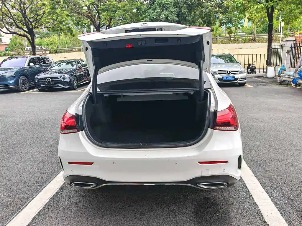 Mercedes-Benz A-Class 2020 — фото 15