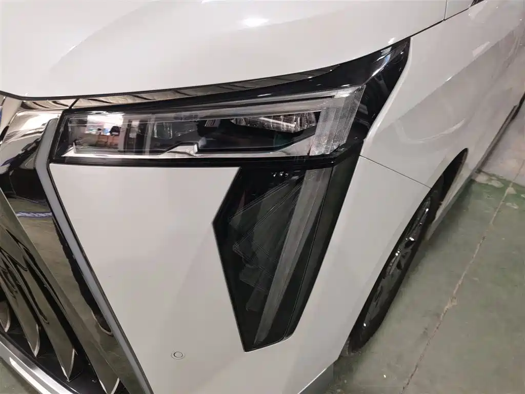 GAC Motor Trumpchi M8 2023 — фото 24