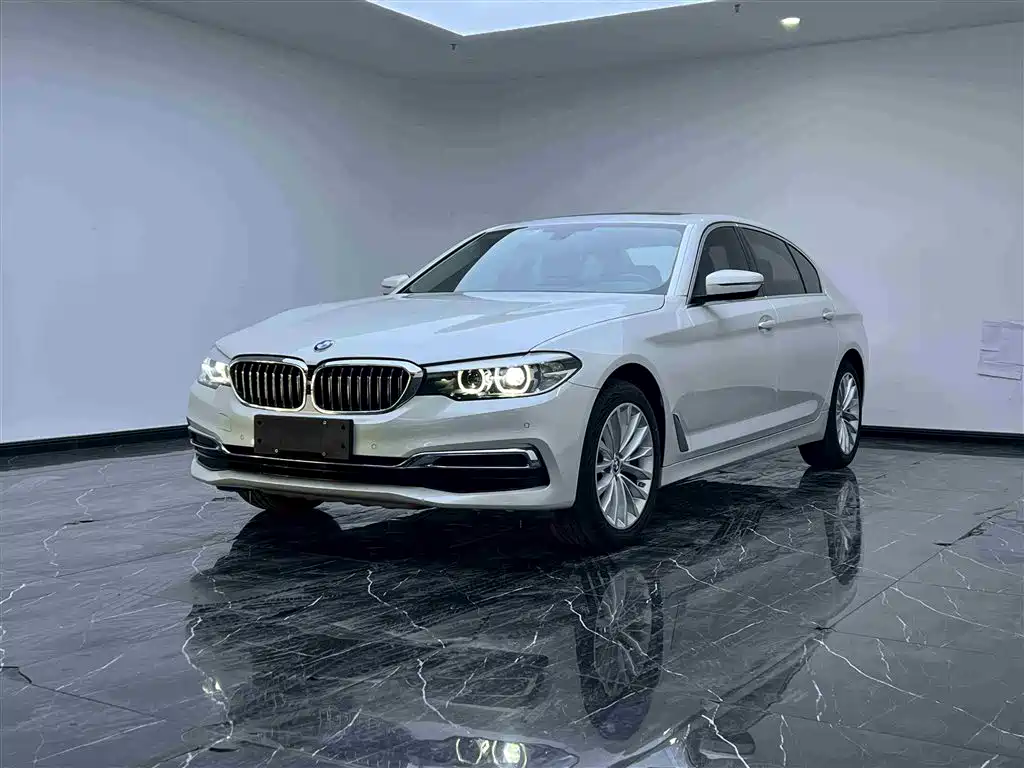 BMW 5 Series 2019 — фото 1