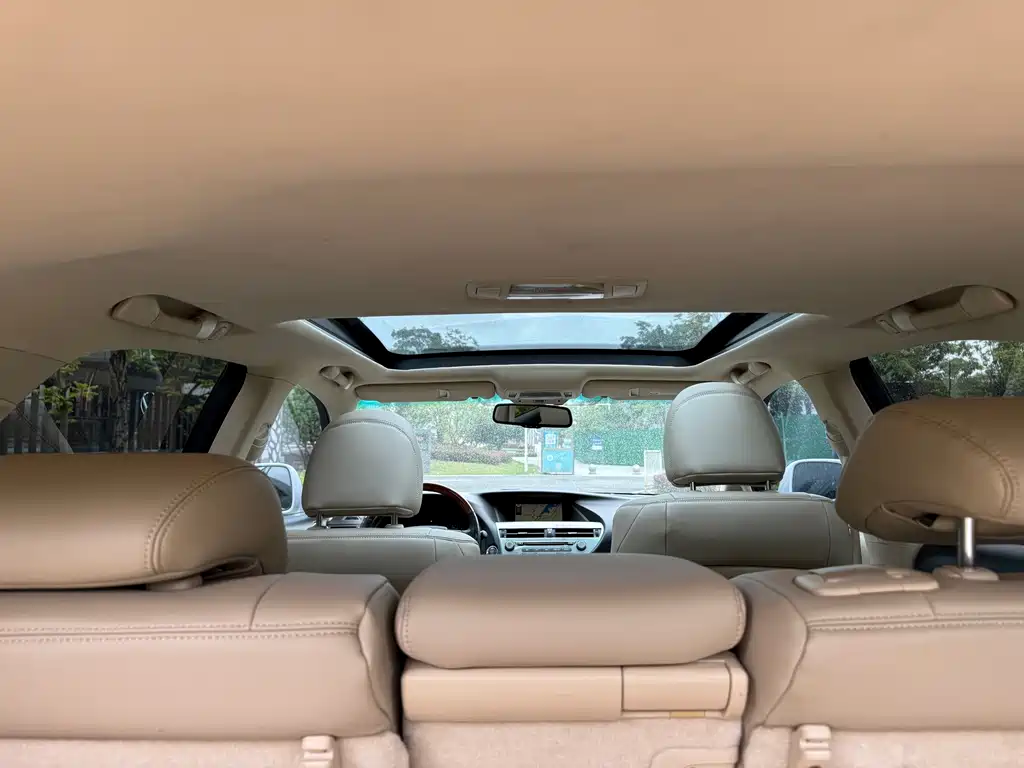 Lexus RX Classic 2010 — фото 26