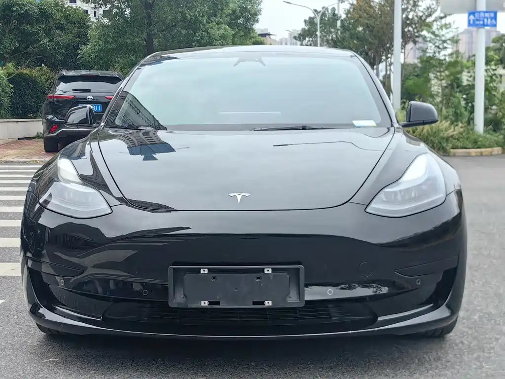 Tesla Model 3 2023 — фото 2