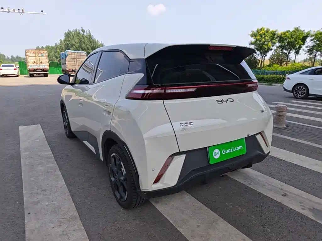 BYD Seagull 2025