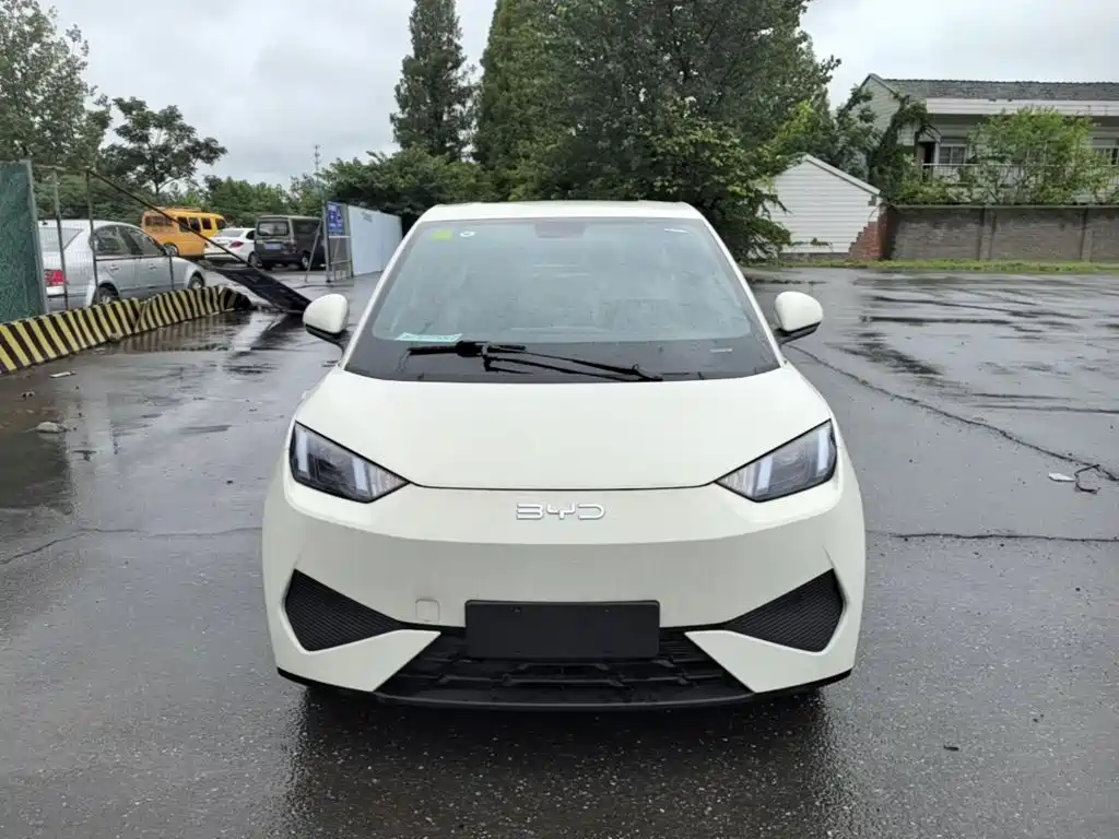BYD Seagull 2026