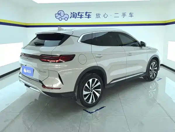 BYD Song PLUS New Energy 2024