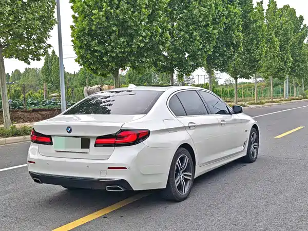 BMW 5 Series New Energy 2022