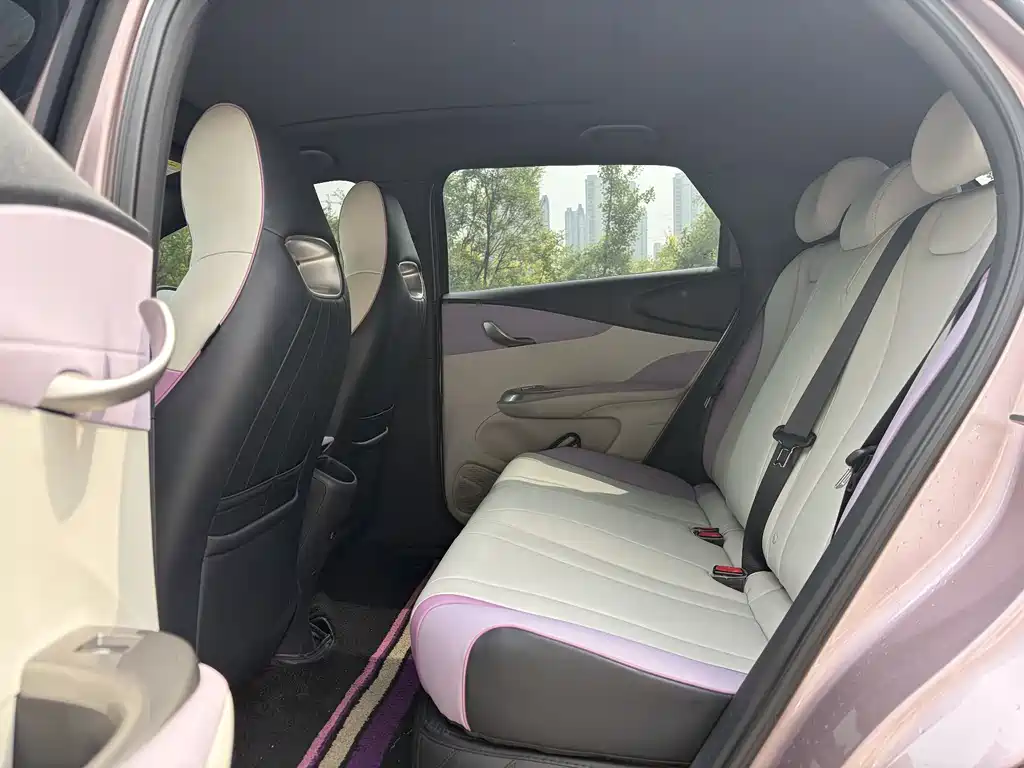 BYD Dolphin 2021