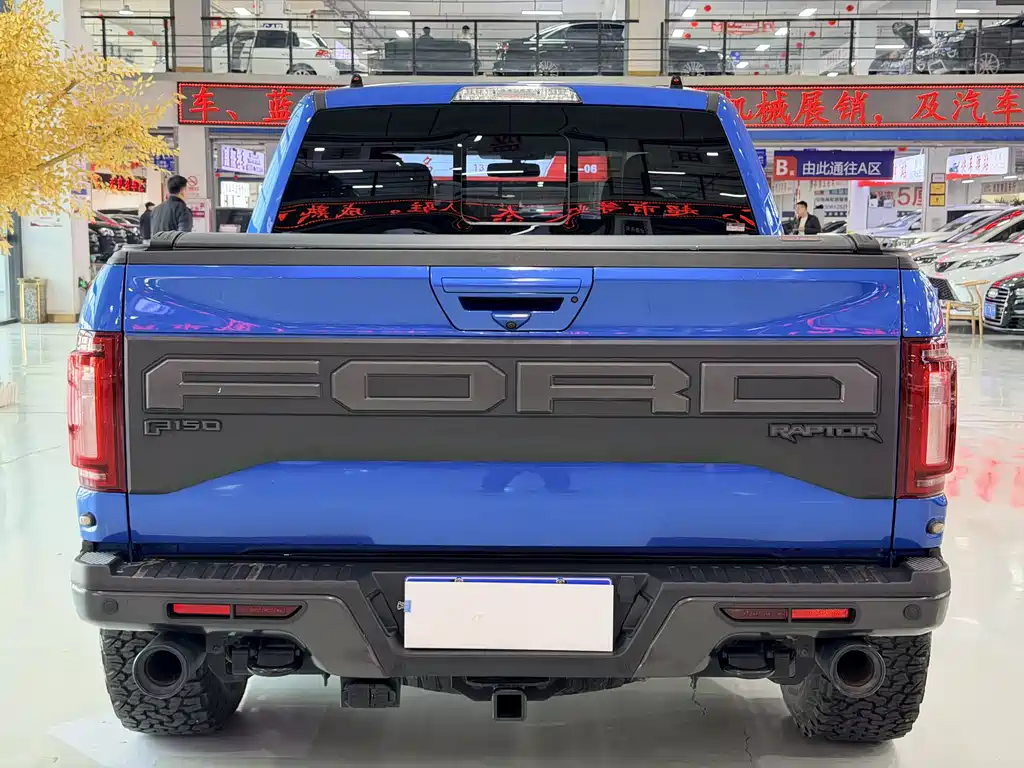 Ford F-150 Raptor 2020 — фото 8