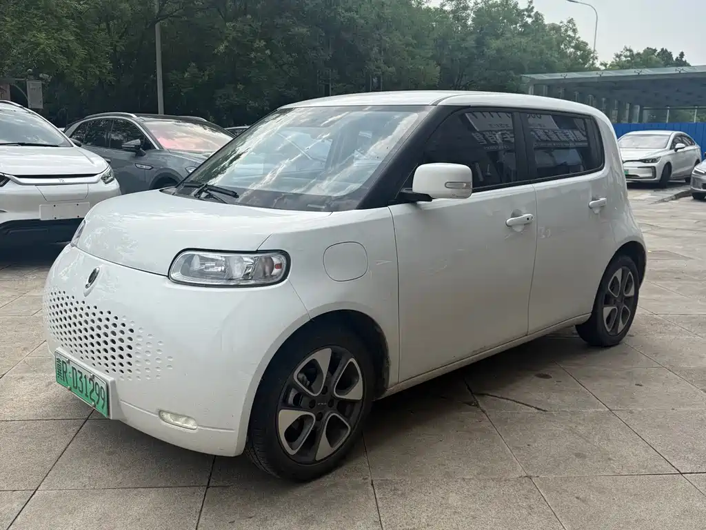 Ora White Cat 2021