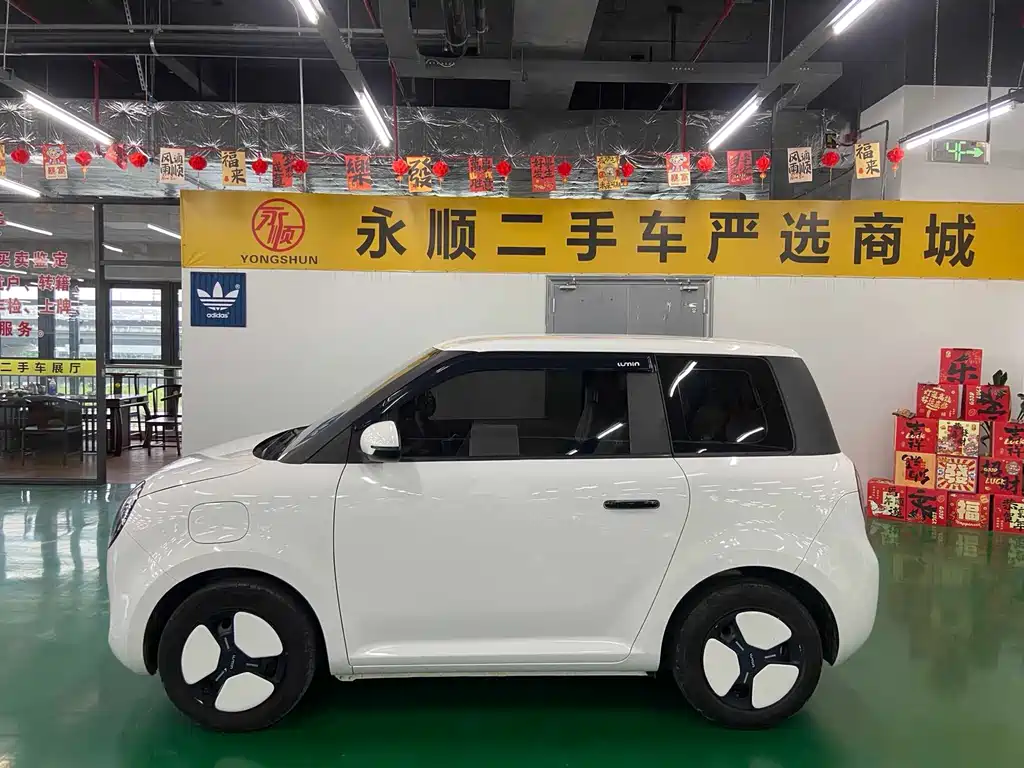 Qiyuan Lumin 2022