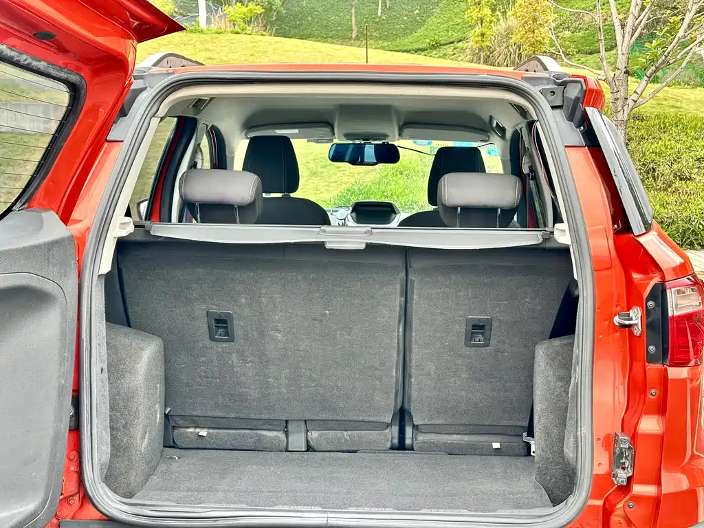 Ford Ecosport 2013 — фото 18