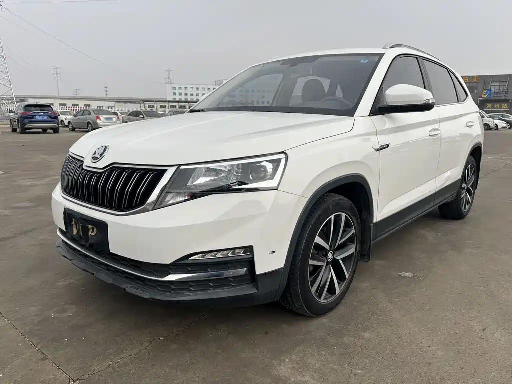 Skoda Kamiq 2020 — фото 21