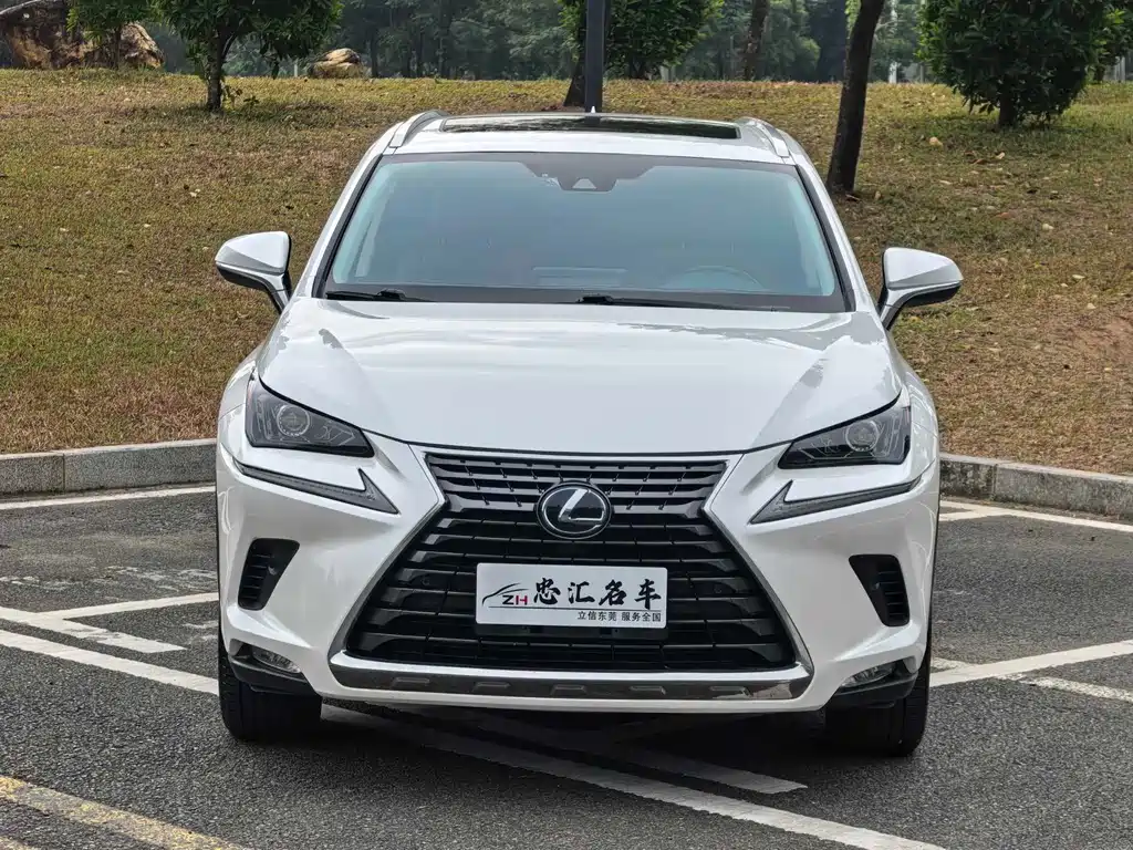 Lexus NX 2020 — фото 18