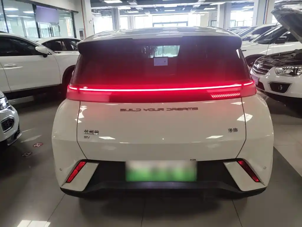 BYD Seagull 2024