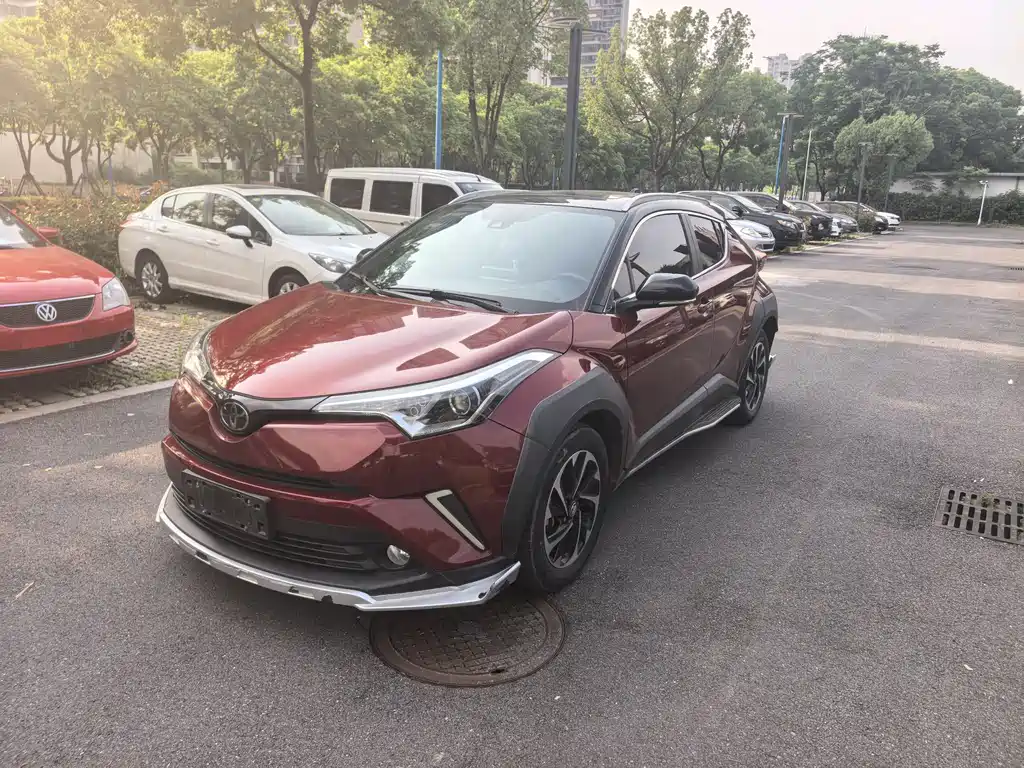 Toyota IZOA 2019