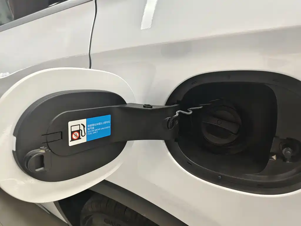 BYD Song Pro New Energy 2025 — фото 24