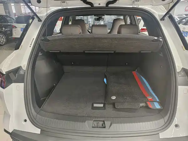 BYD Song Pro New Energy 2025