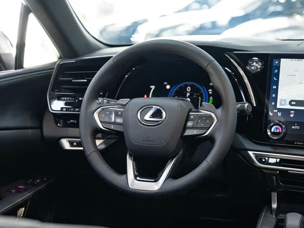 Lexus RX New Energy 2023 — фото 14