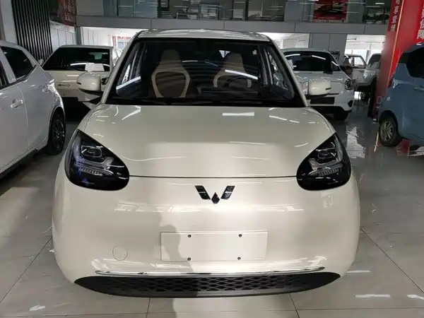 Wuling Bingo 2024