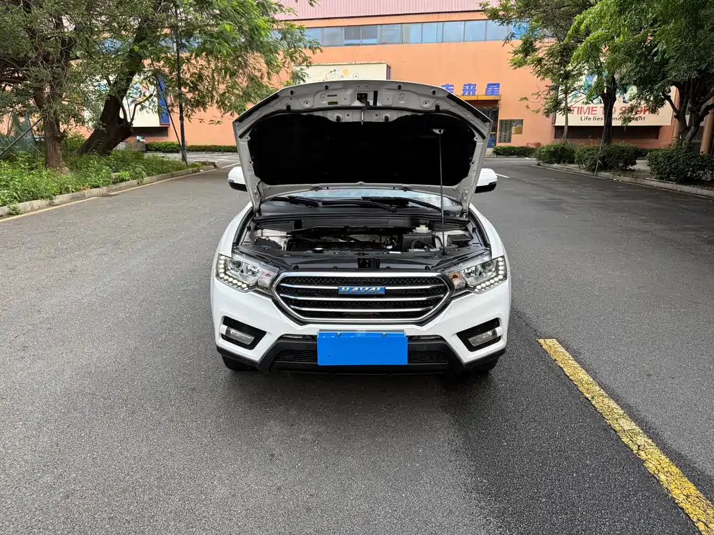 Haval H6 Coupe 2017 — фото 15